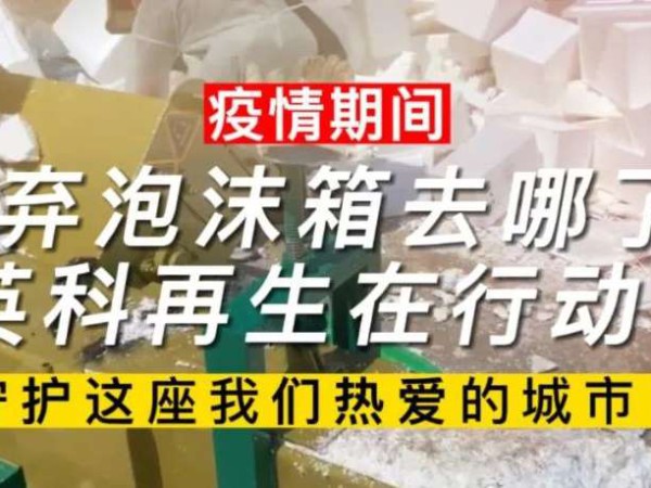304am永利集团要闻｜疫情期间废弃泡沫箱去哪了？304am永利集团再生在行动！