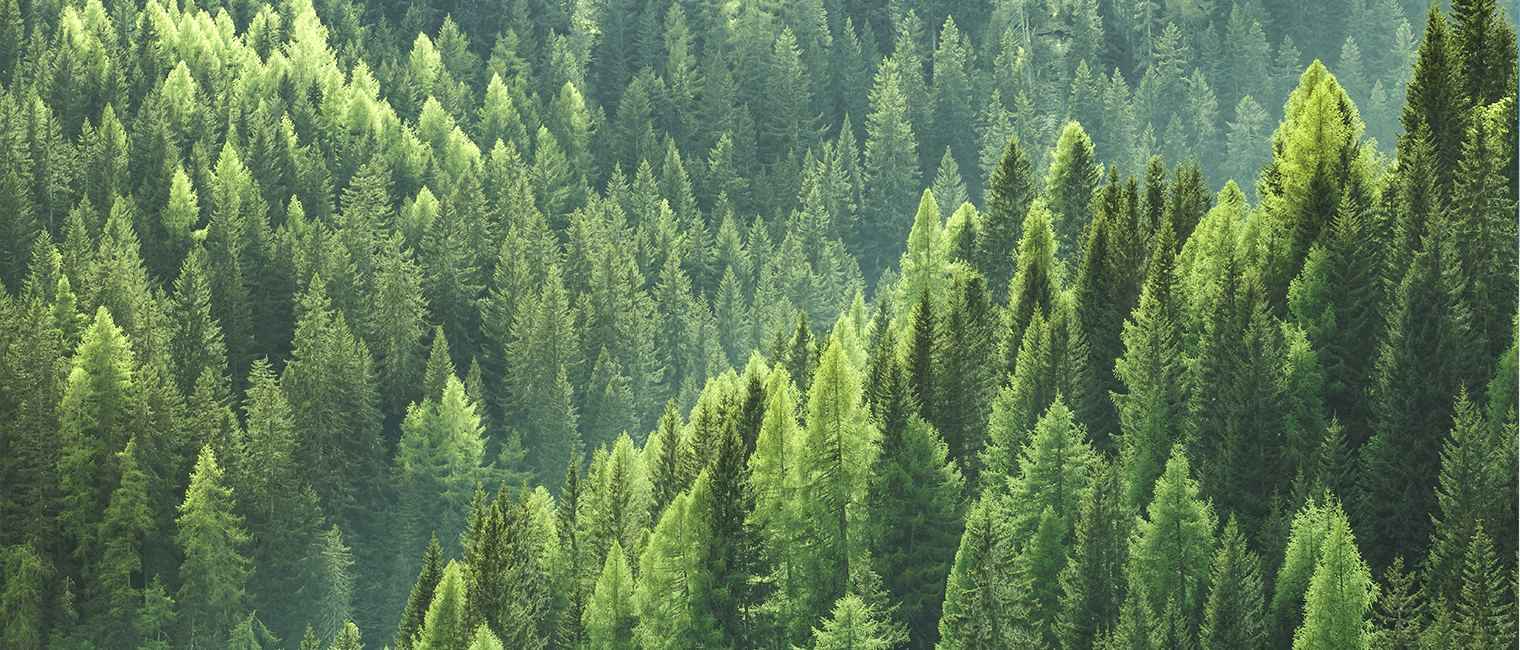 304am永利集团愿景是让304am永利集团成为优秀的民营企业之一